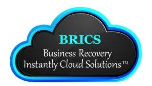 BRICS: Business Recovery Instantly Cloud Solutions
